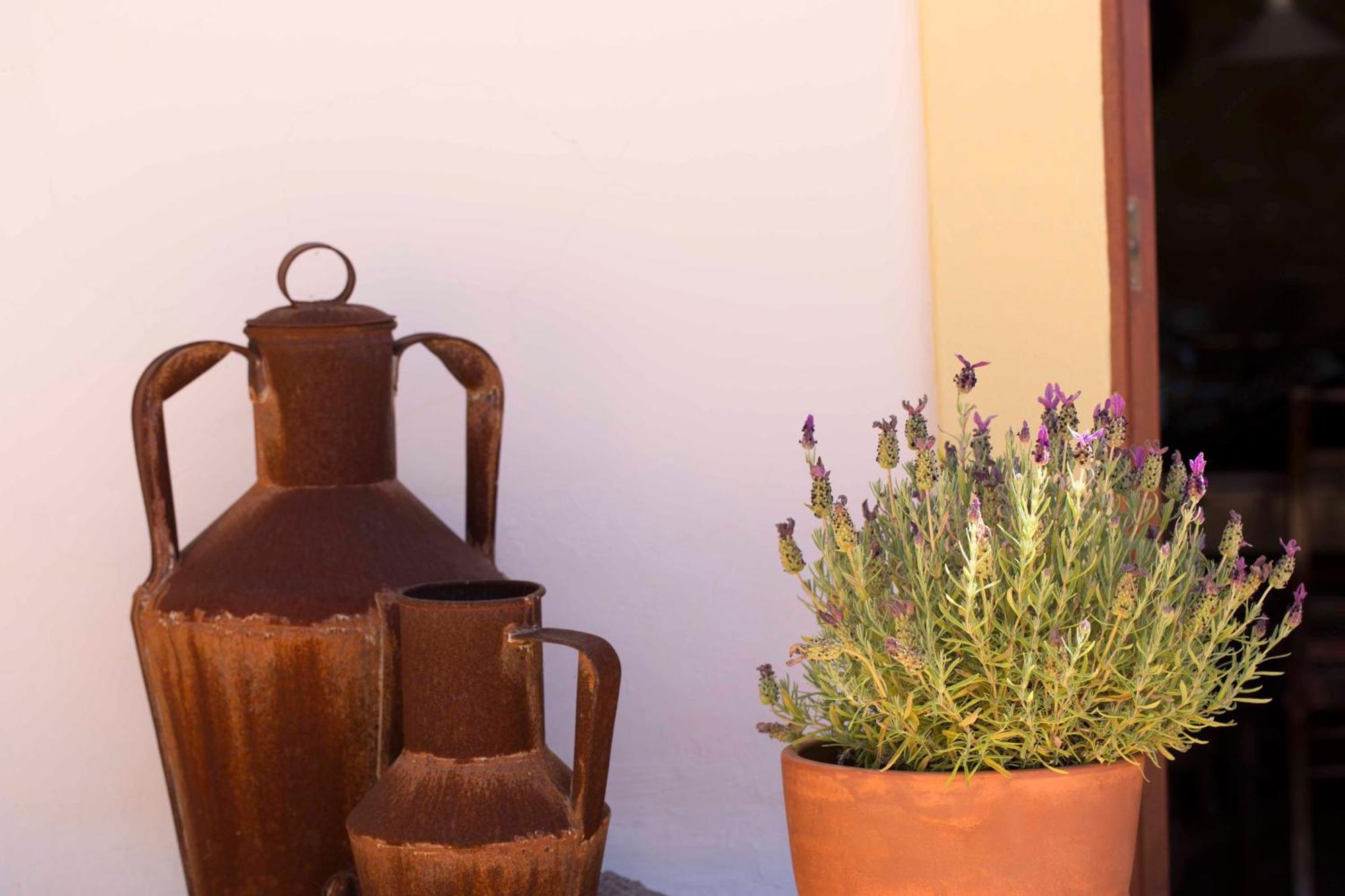 B&B Candelaria Corregos de Monte Seco Exteriör bild